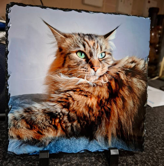 Photo Slate 150x150mm